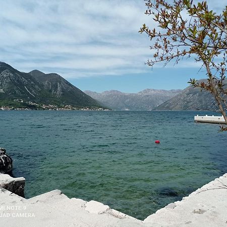 Apartman Milena 1 Kotor Exterior photo